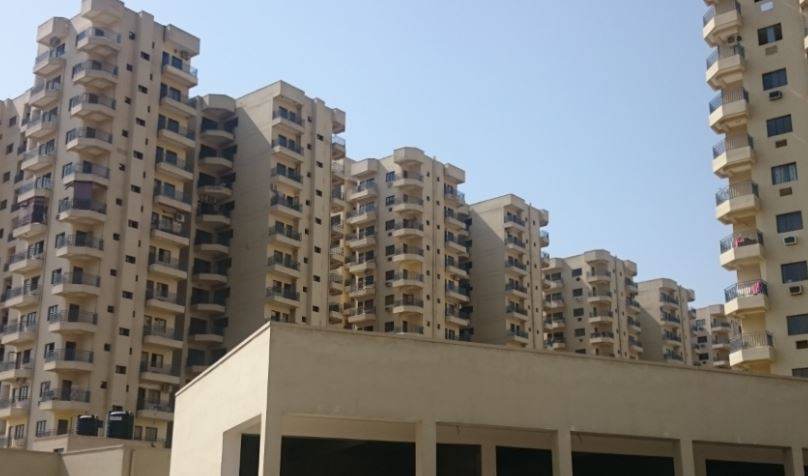 Ardee Palm Grove Heights — elevation