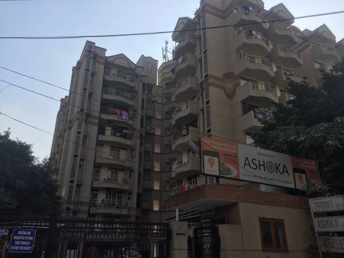 Ashoka Group Housing Society — elevation
