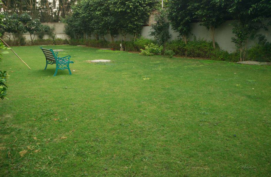 Bhawna CGHS — elevation