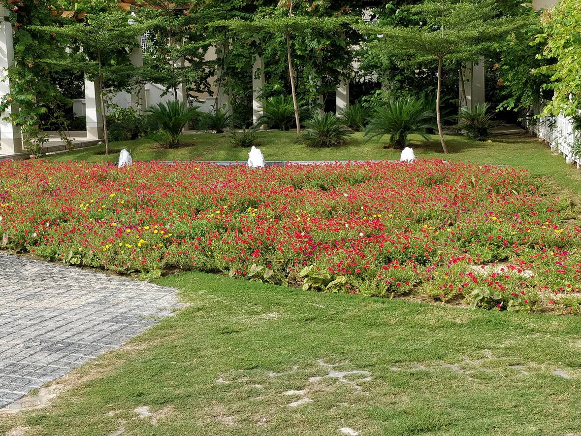 Central Park Resorts Sky Villas — elevation