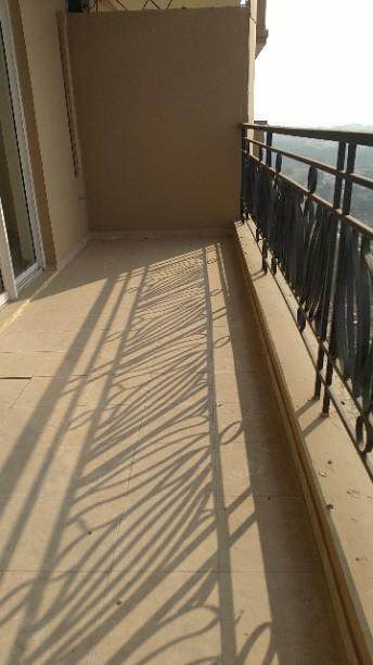Show flat — DLF Express Greens