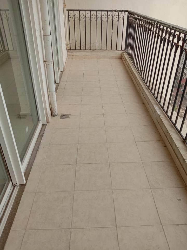 Show flat — DLF New Town Heights 1