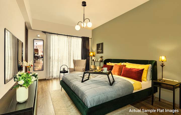 Show flat — Emaar Palm Heights