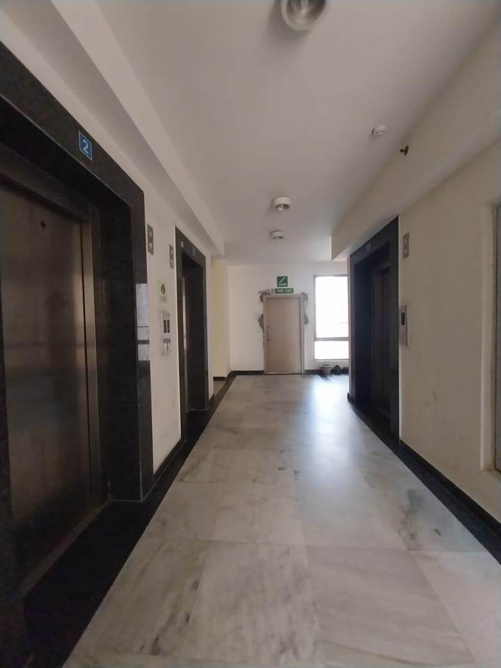 Show flat — Pioneer Park
