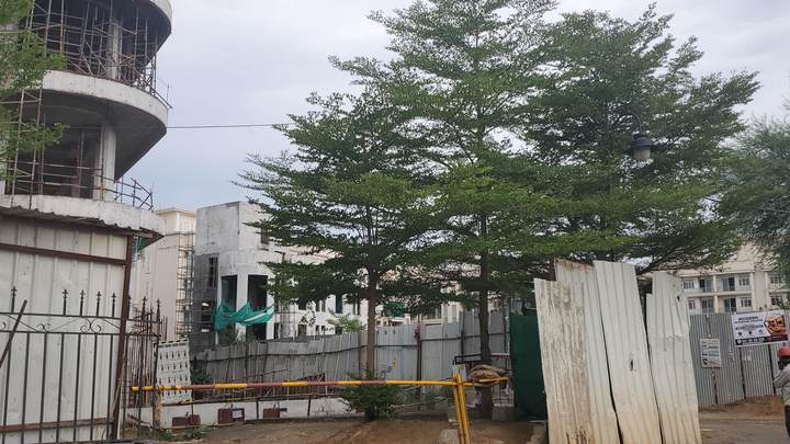 Construction progress — Signature Global City 92