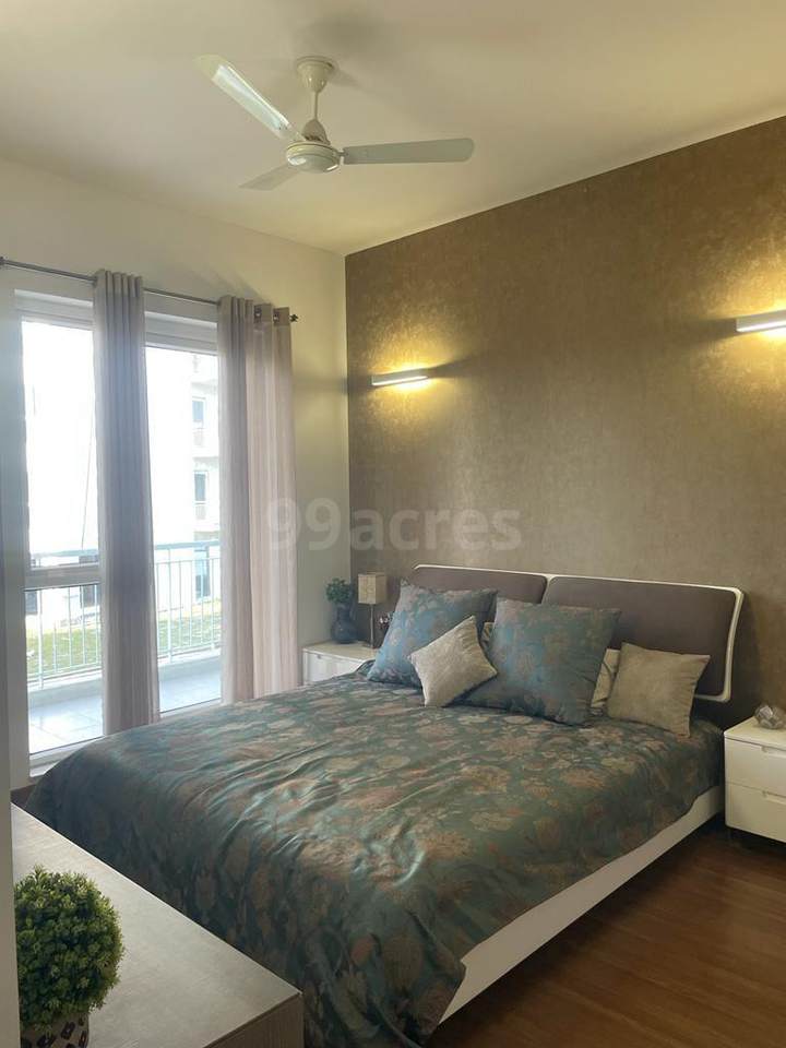 Show flat — Vatika India Next