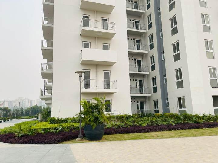 Construction progress — Vatika Seven Elements