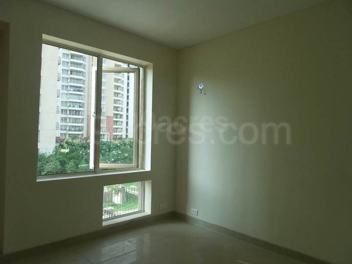 Show flat — Woodstock Floors